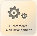 Ecommerce Website Development
