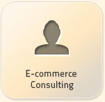 E-commerce consulting services